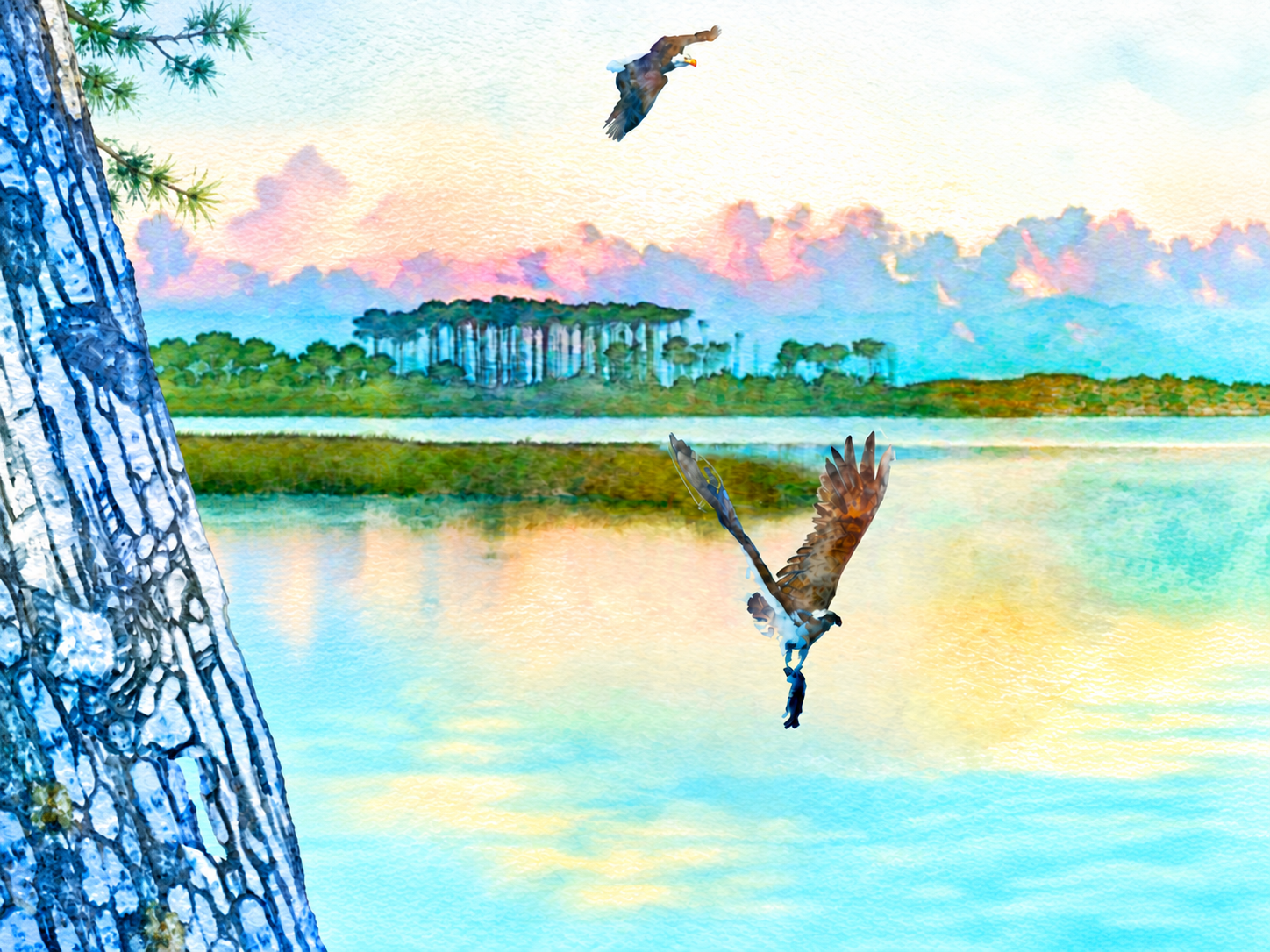 Adventure Academy watercolor artwork of coastal wildlife and shoreline
